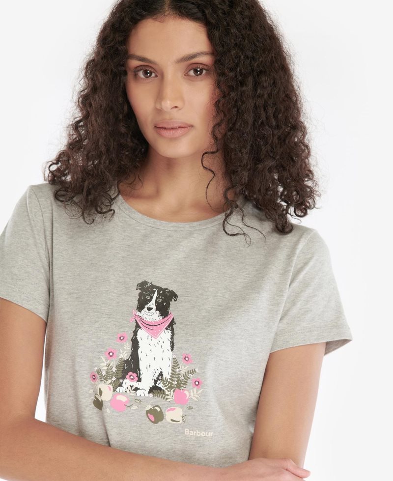 Camiseta Barbour Beacons Mujer Gris | EYJG94302